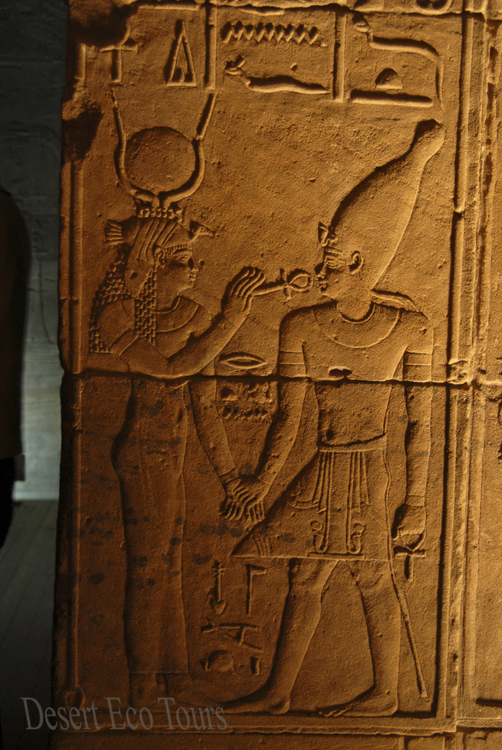 טיולים למצרים: המקדשים בלוקסור ואסואן